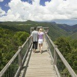 Dorrigo 1